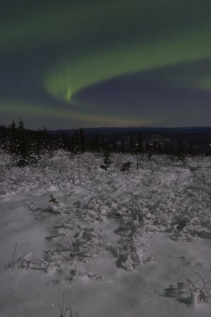 Auroraborealis